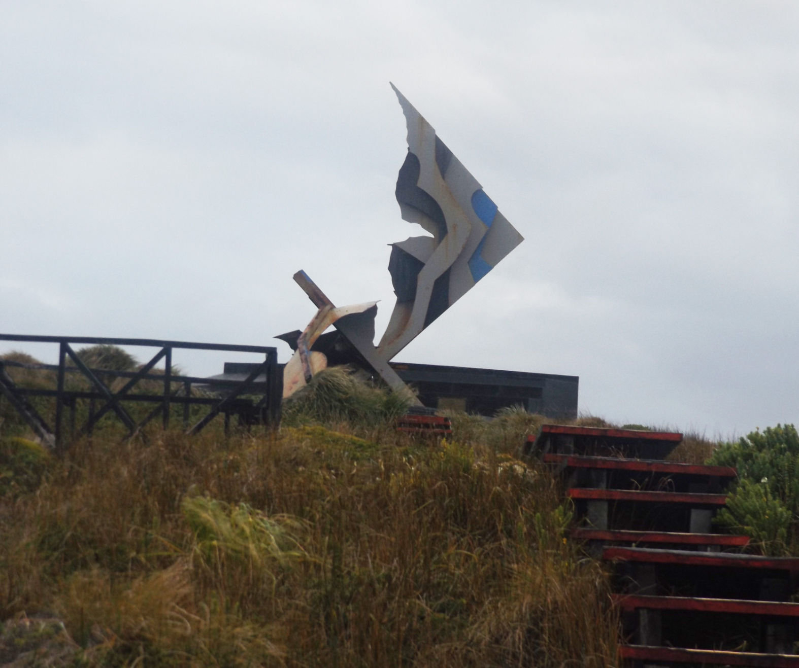 Patagonia Trip - Albatross